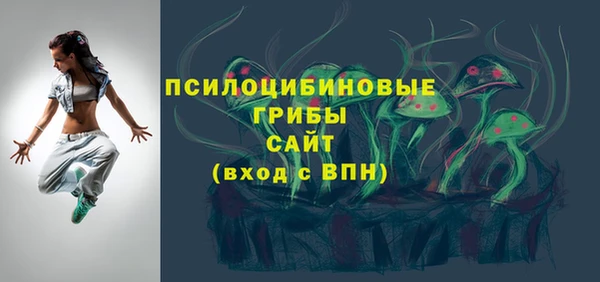 тгк Аркадак