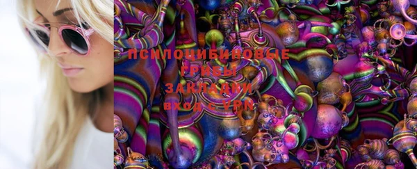 скорость Арсеньев