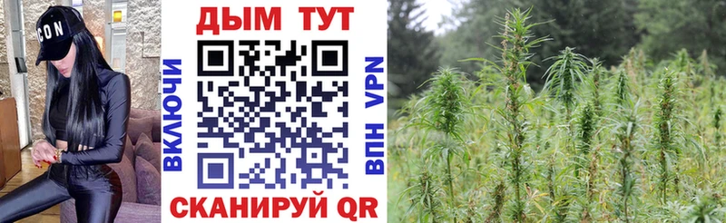цены   Радужный  Канабис MAZAR 